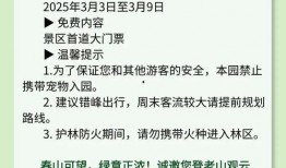 外网苹果17最新爆料,颠覆性设计与强大性能前瞻
